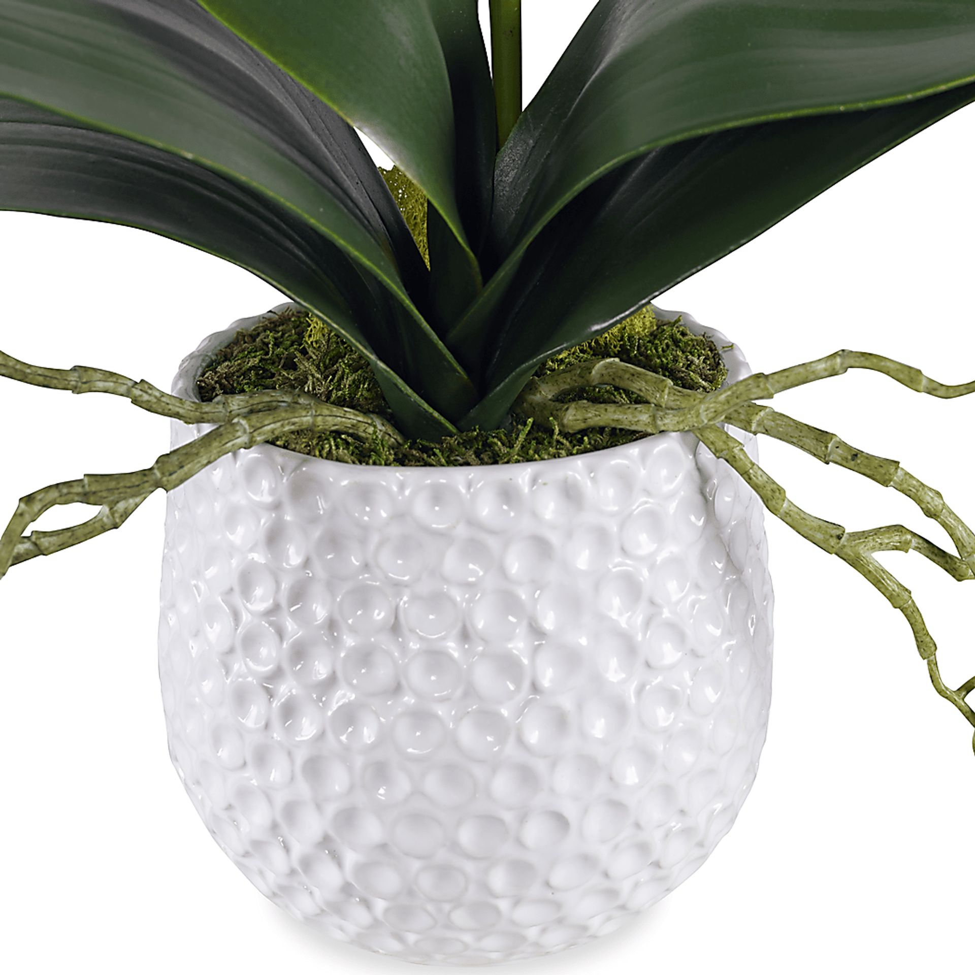 Gosson White Faux Orchid - Image 4