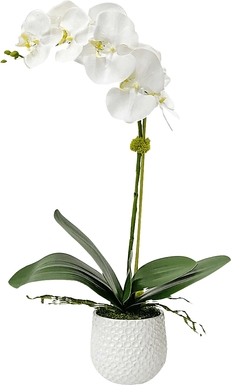 Gosson White Faux Orchid
