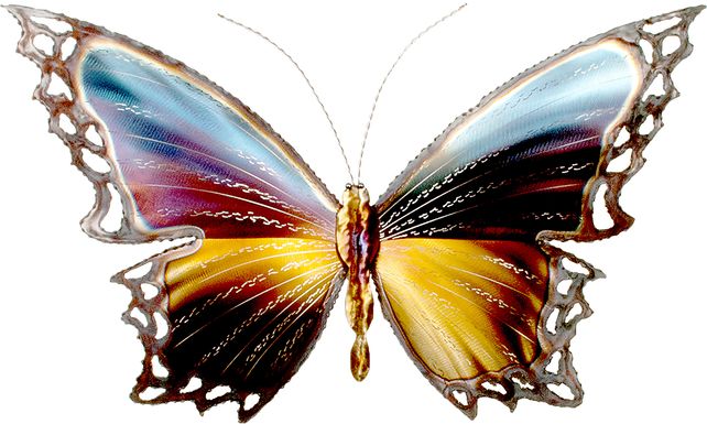 Graceful Butterfly II Multi Outdoor Artwork