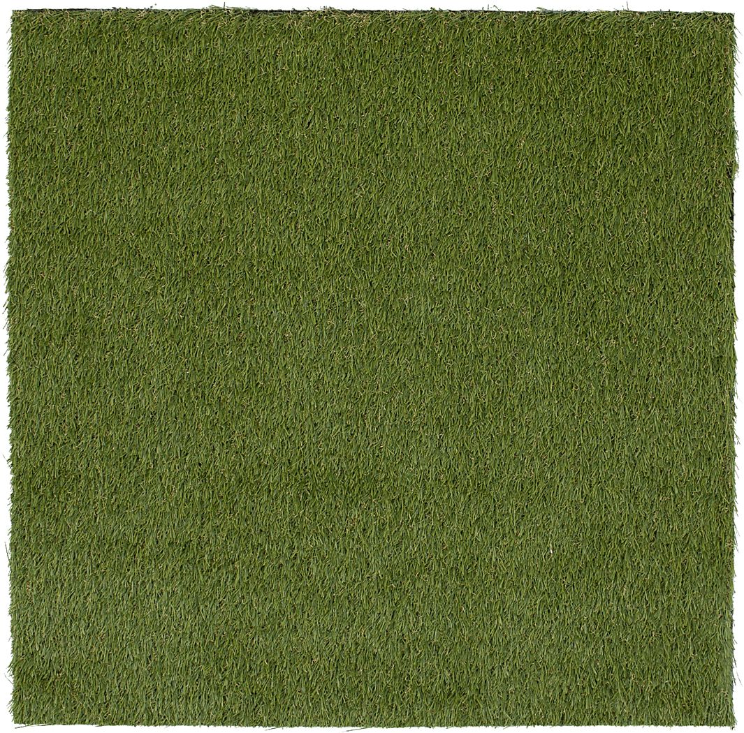 Gramen Green 5' x 7' Artificial Turf