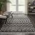 Graphic Patterns Charcoal 9'2 x 12'6 Rug