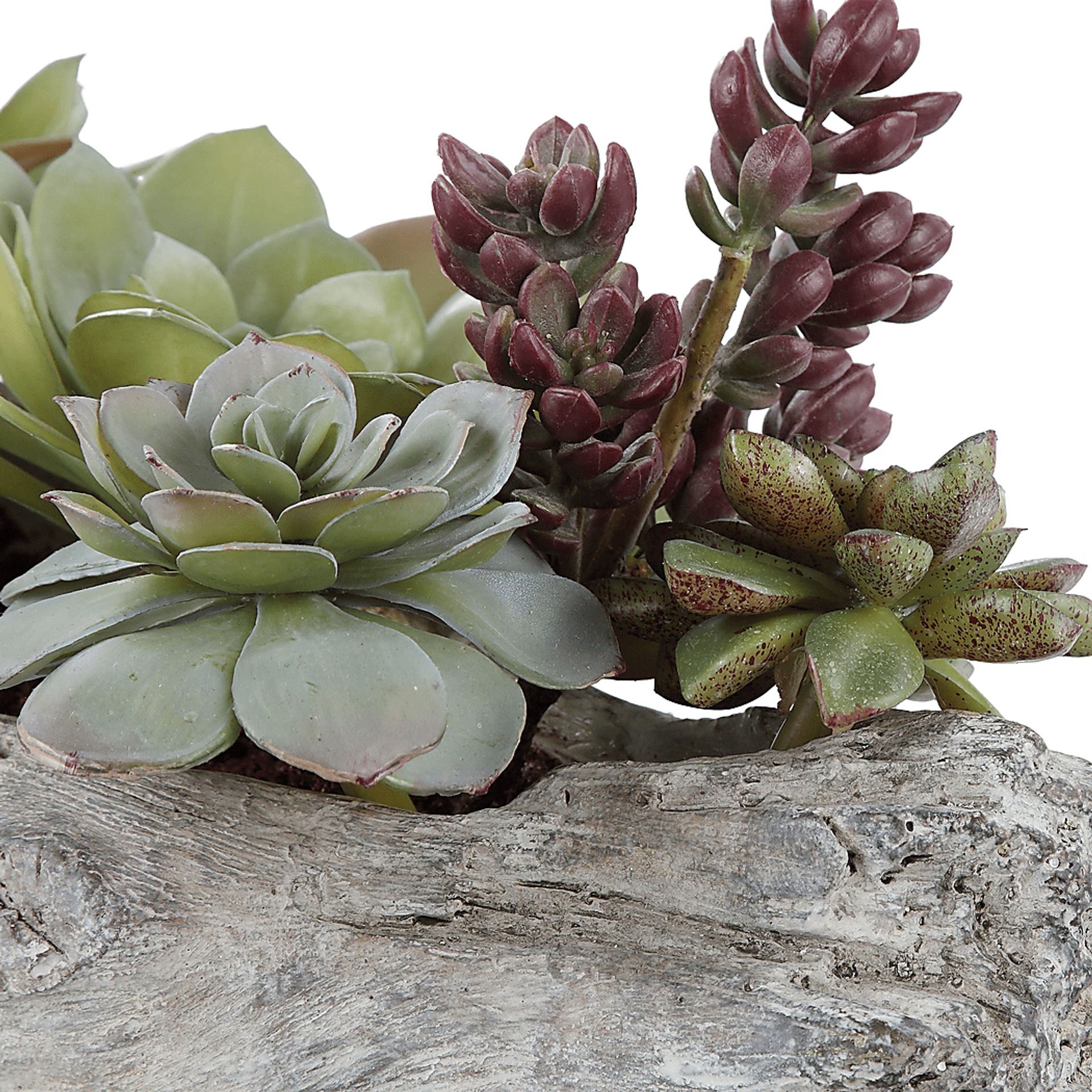 Grelot Green Faux Succulents - Image 4