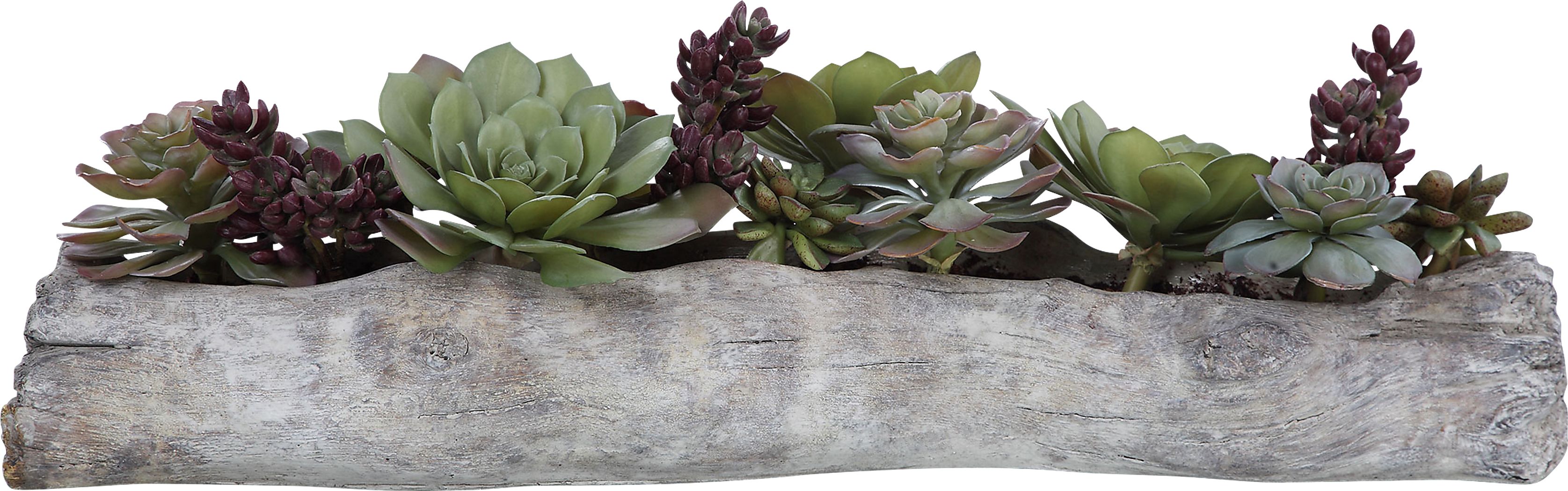 Grelot Green Faux Succulents