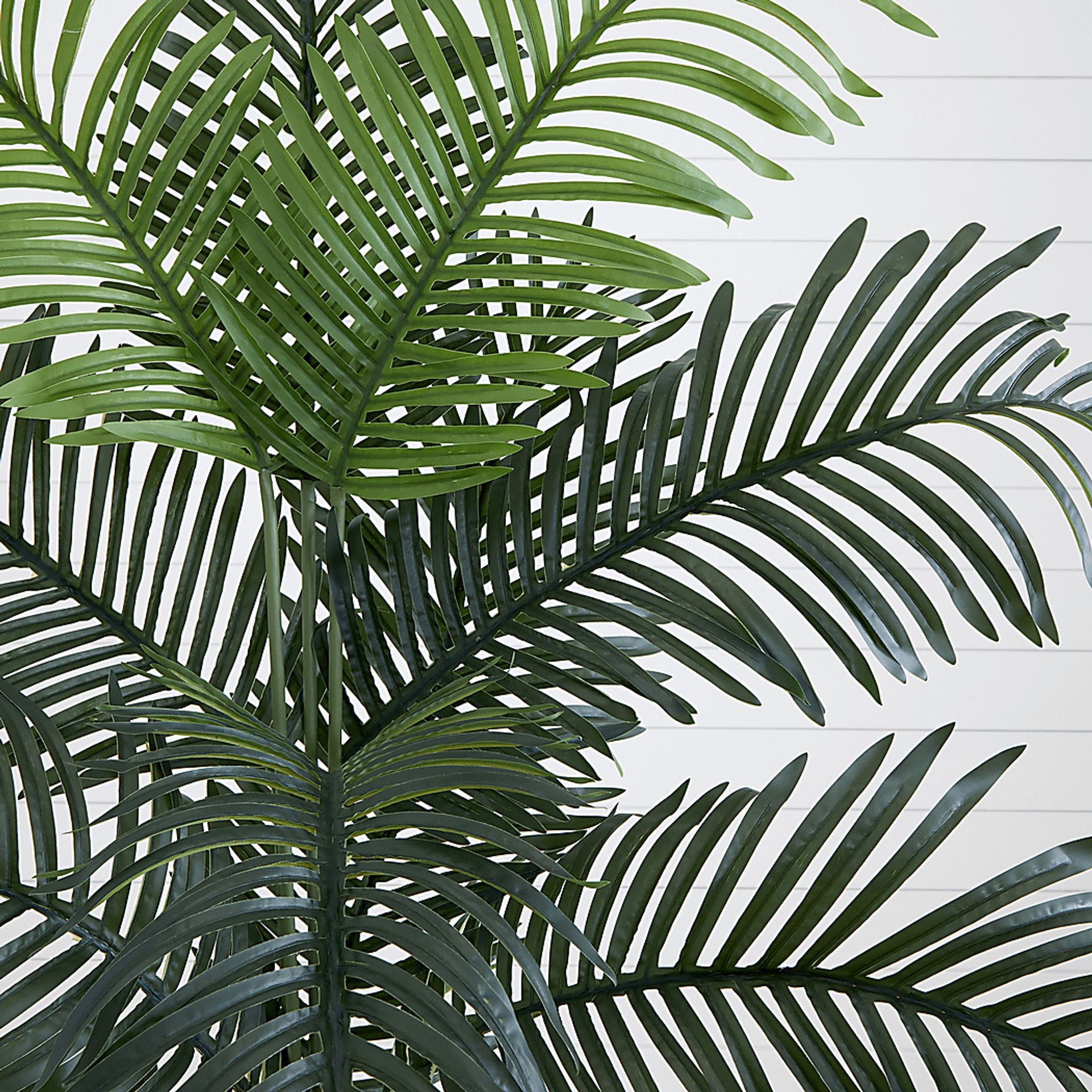 Grivetta Green Tree with Planter - Image 3