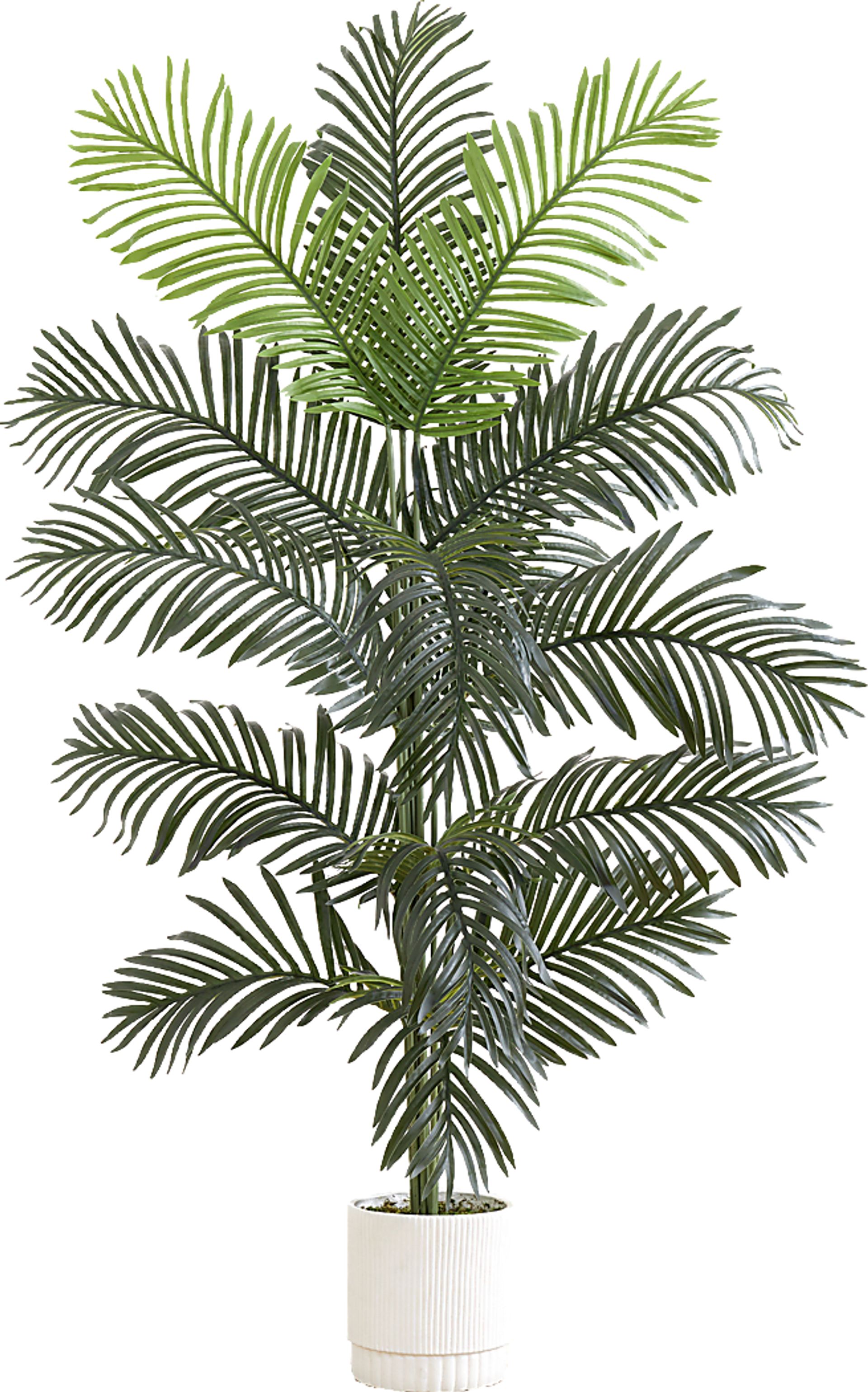 Grivetta Green Tree with Planter - Image 1