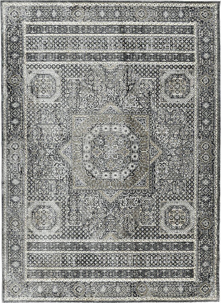 Haertley Charcoal 5'3 x 7'10 Rug