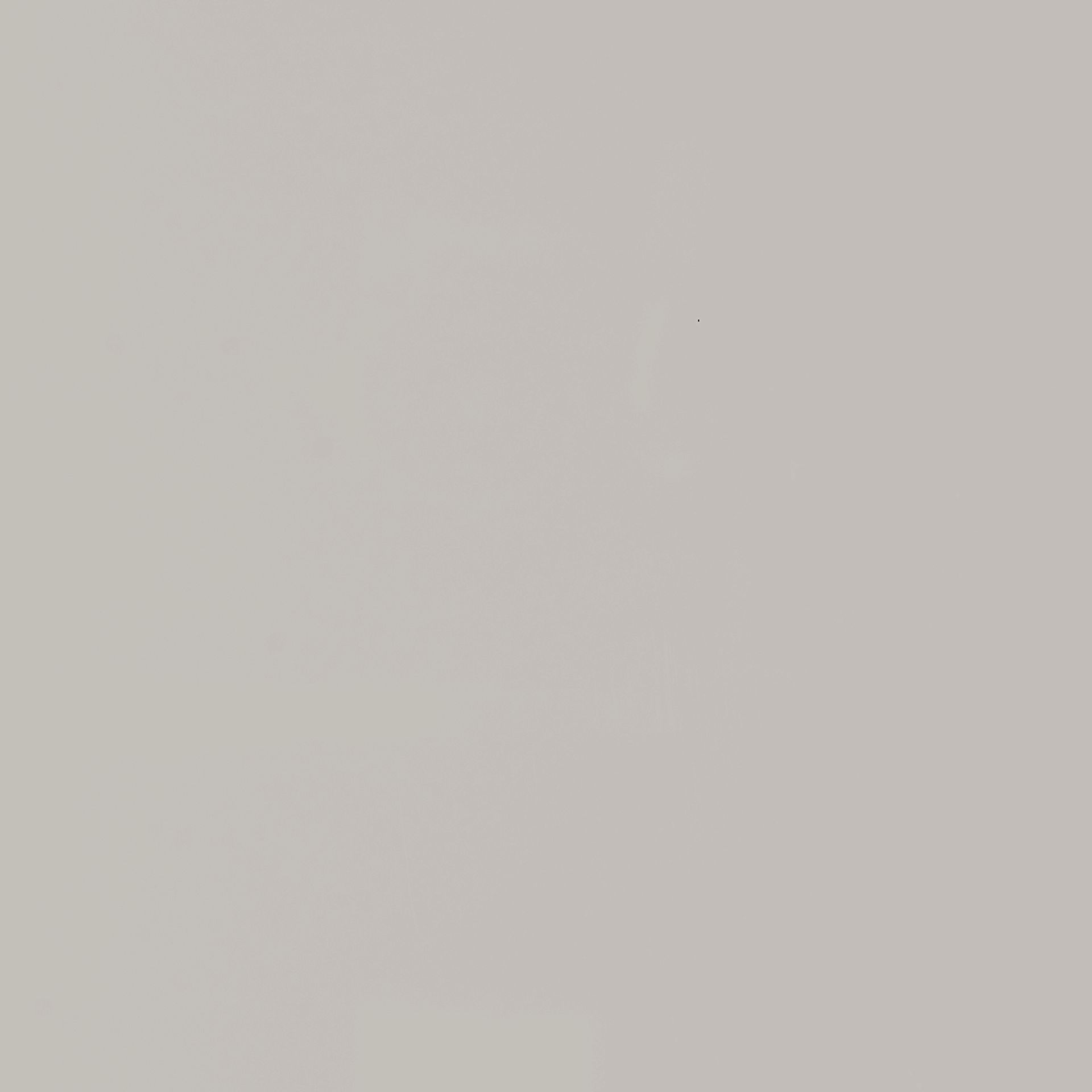 Halesia Gray Accent Cabinet - Image 13