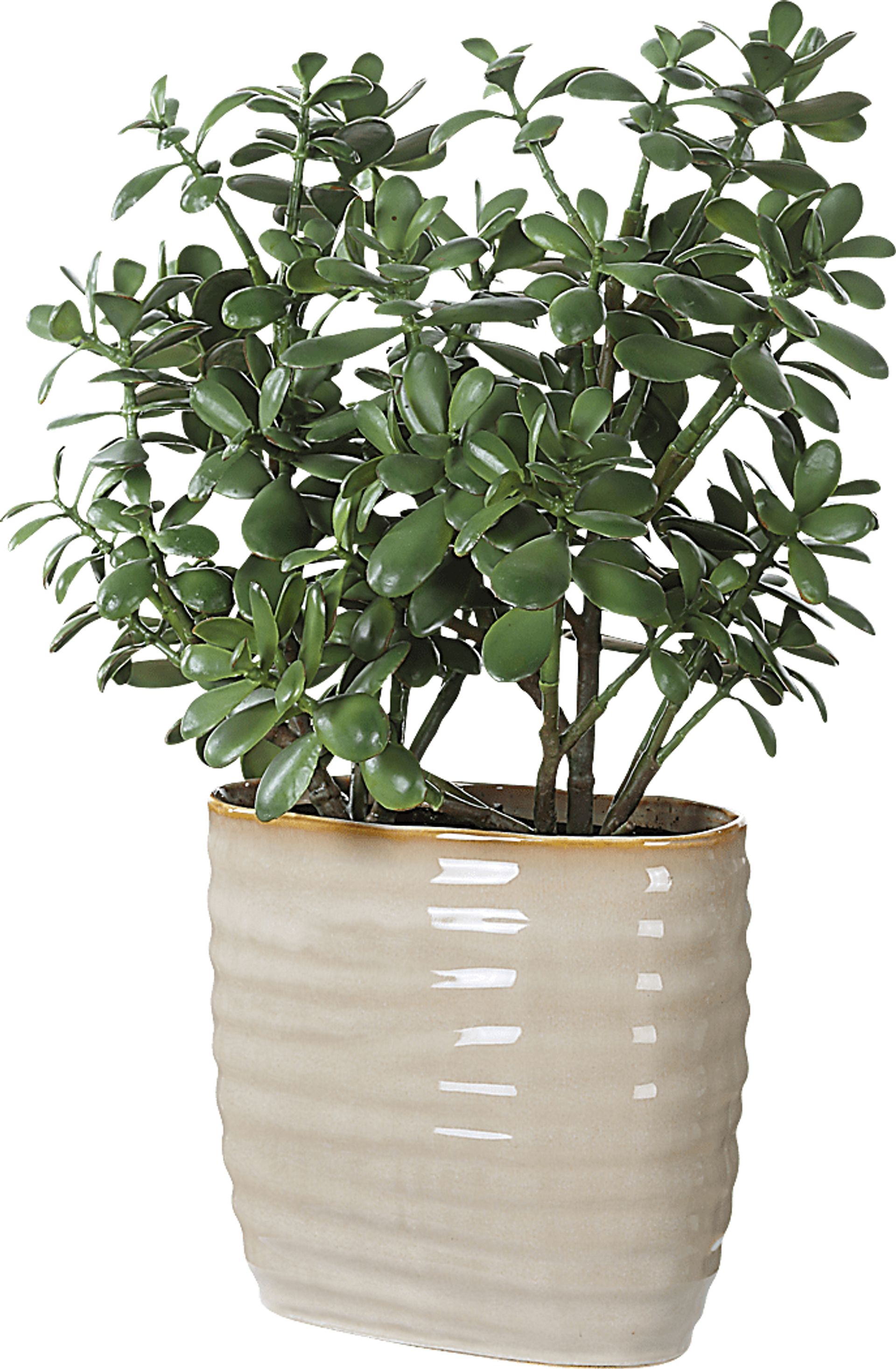 Hallo Beige Silk Plant - Image 3