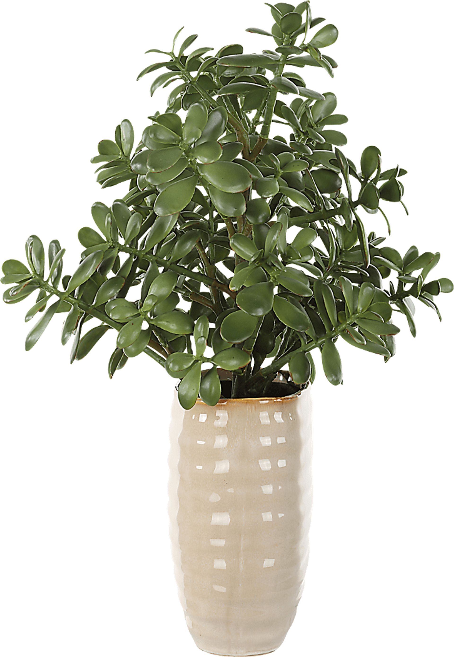 Hallo Beige Silk Plant - Image 4