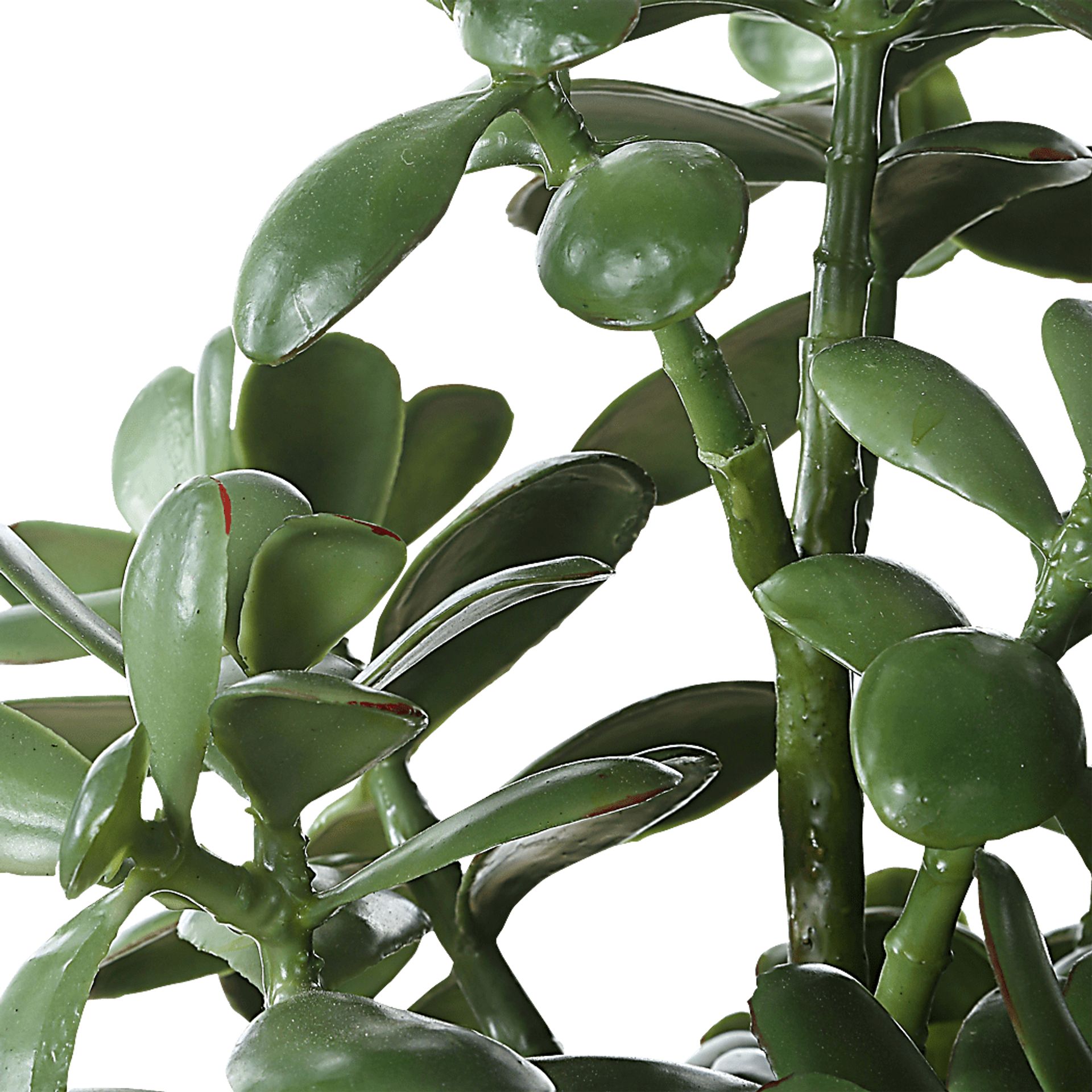 Hallo Beige Silk Plant - Image 5