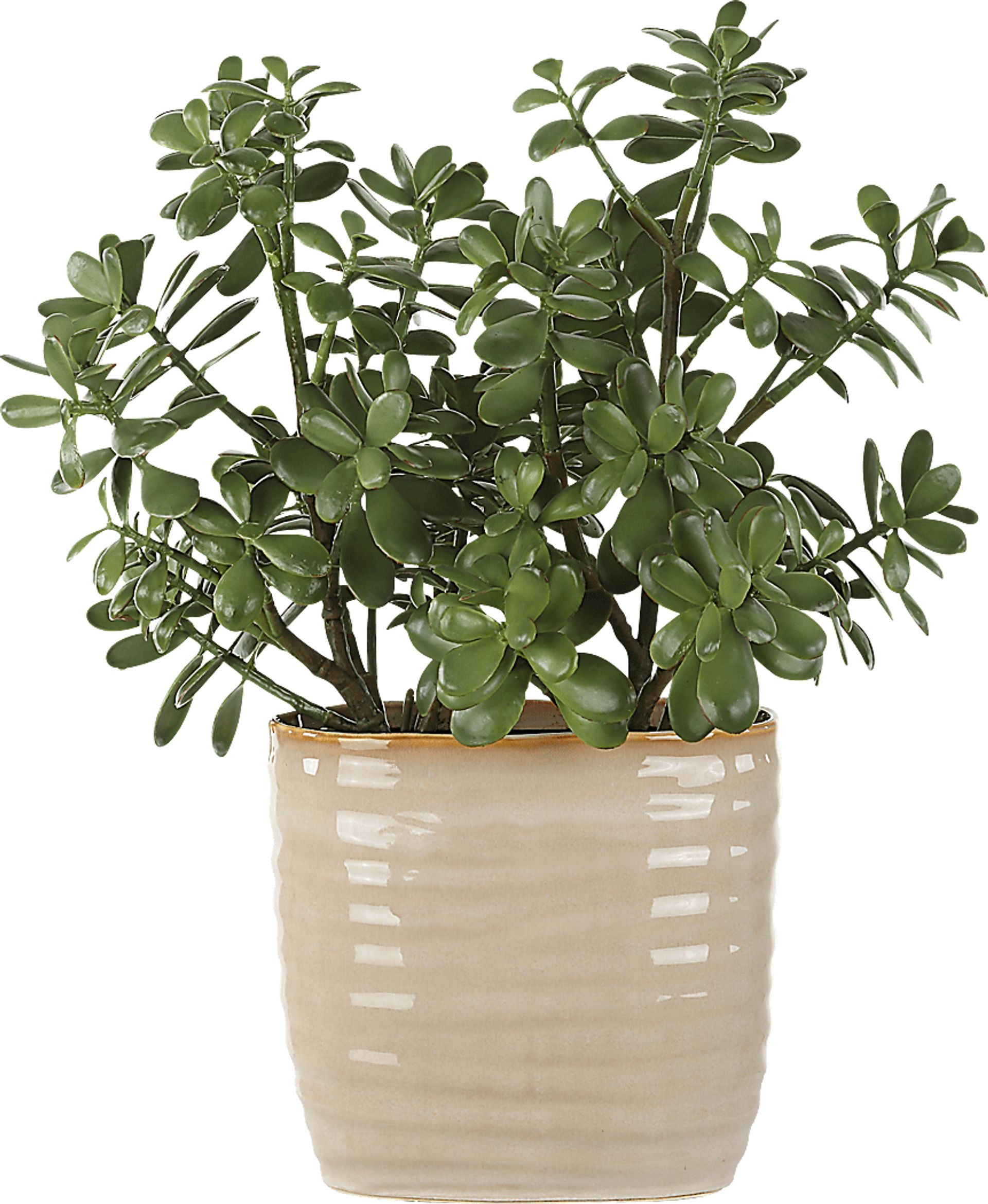 Hallo Beige Silk Plant - Image 1