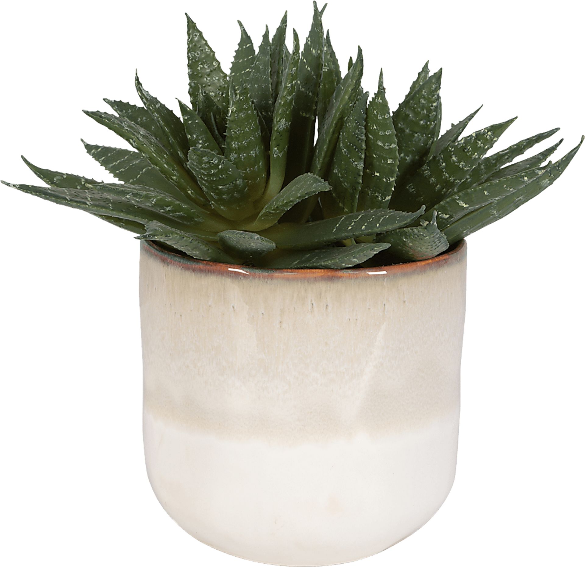 Halteese Beige Plant - Image 3