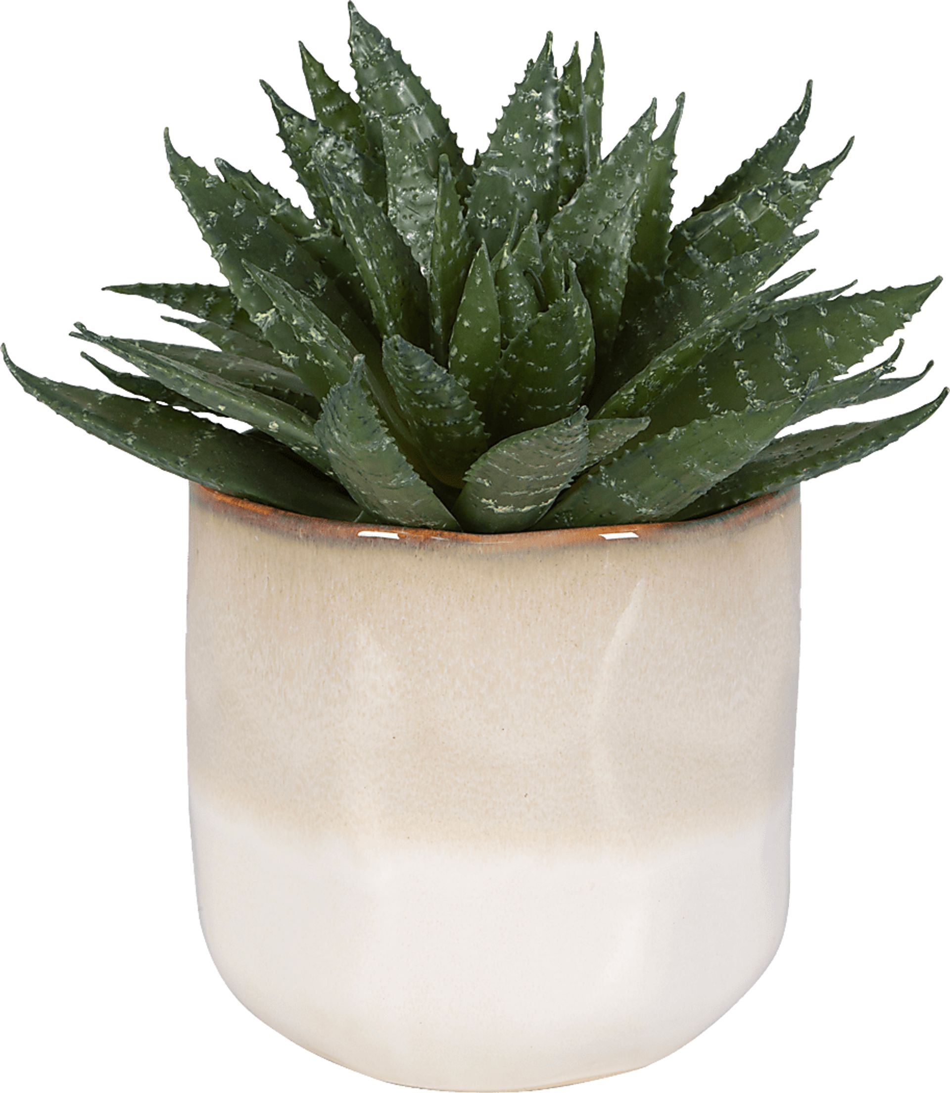 Halteese Beige Plant - Image 1