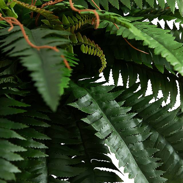 Hanabeck I Green Silk Plant - Thumbnail - Image 3