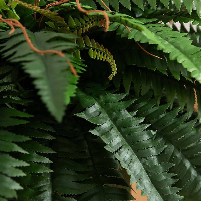 Hanabeck I Green Silk Plant - Thumbnail - Image 4
