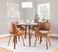 Harless Camel Side Chair, Set of 2