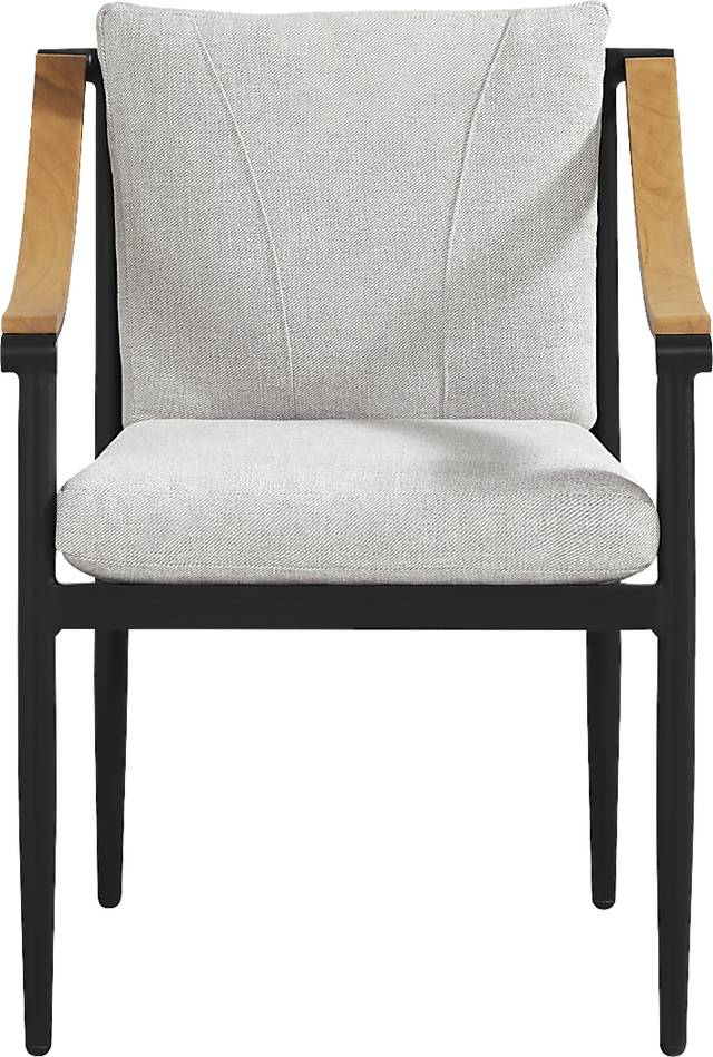 Harlowe Black Outdoor Arm Chair with Dove Cushions - Thumbnail - Image 3