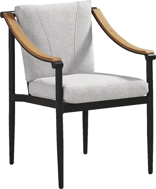 Harlowe Black Outdoor Arm Chair with Dove Cushions - Thumbnail - Image 1