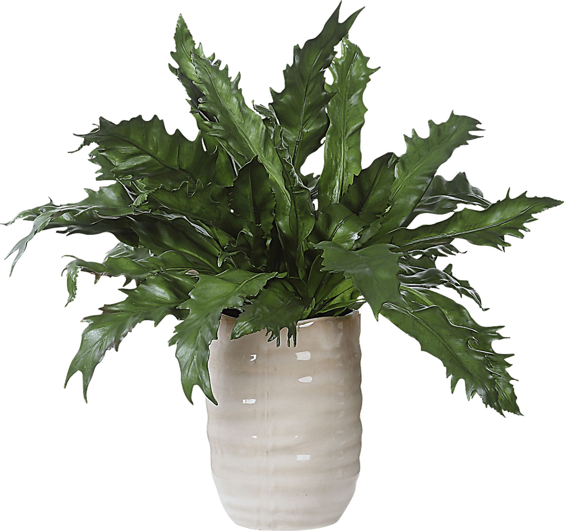 Havane Tan Silk Plant - Image 6