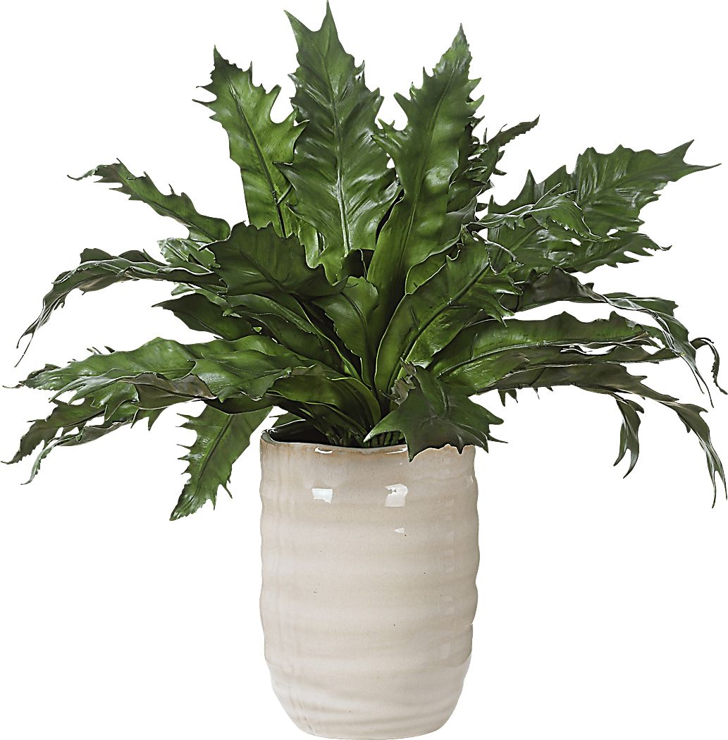 Havane Tan Silk Plant