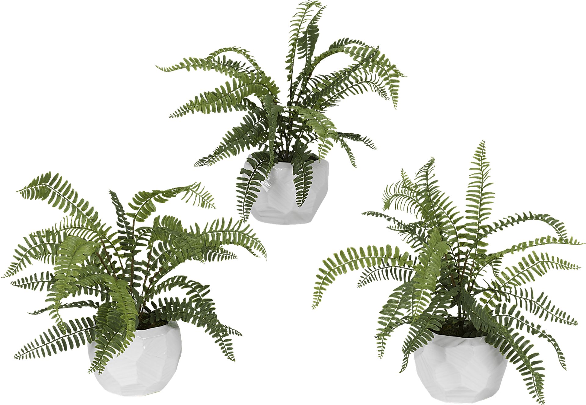 Haylee Green Silk Plant, Set of 3 - Image 1