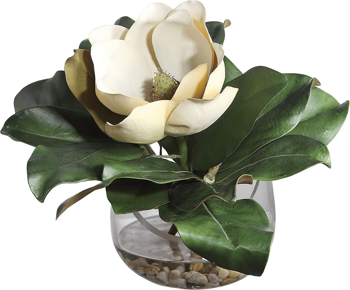 Hazeur White Silk Magnolia