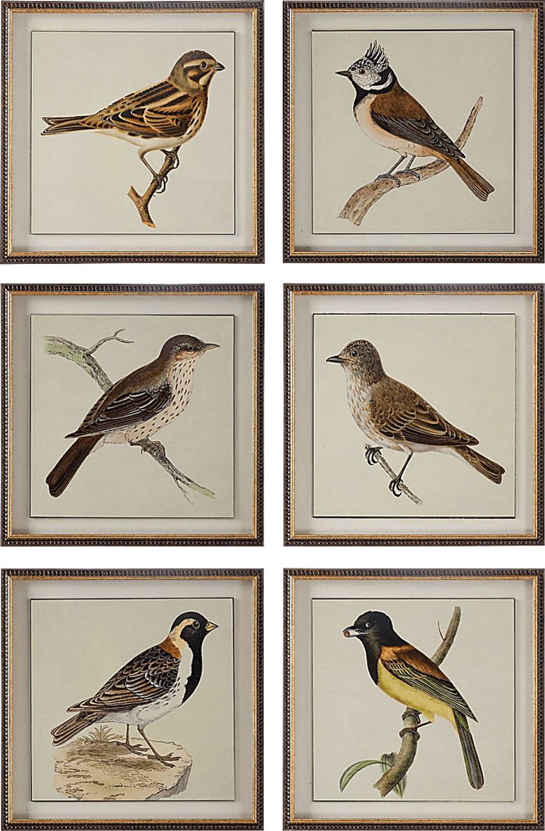 Hazyl Brown Set of 6 Artwork