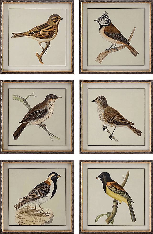 Hazyl Brown Set of 6 Artwork - Thumbnail - Image 1