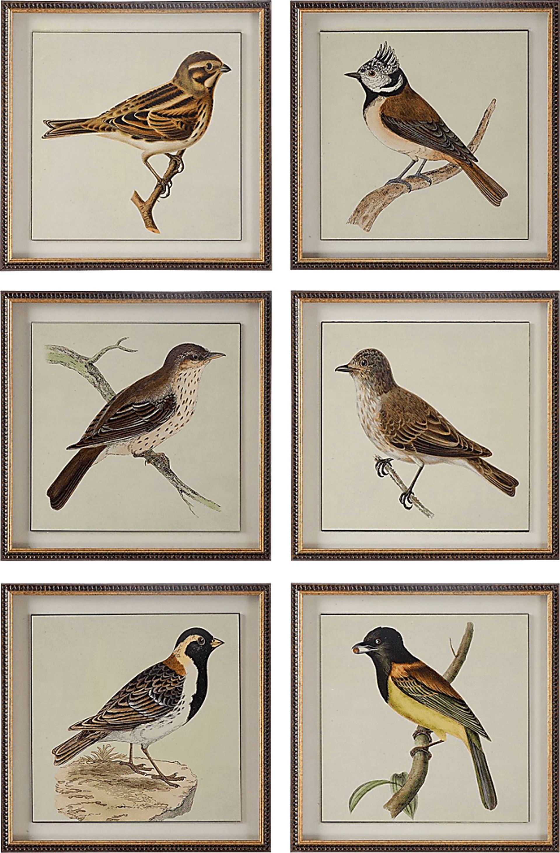 Hazyl Brown Set of 6 Artwork - Image 1