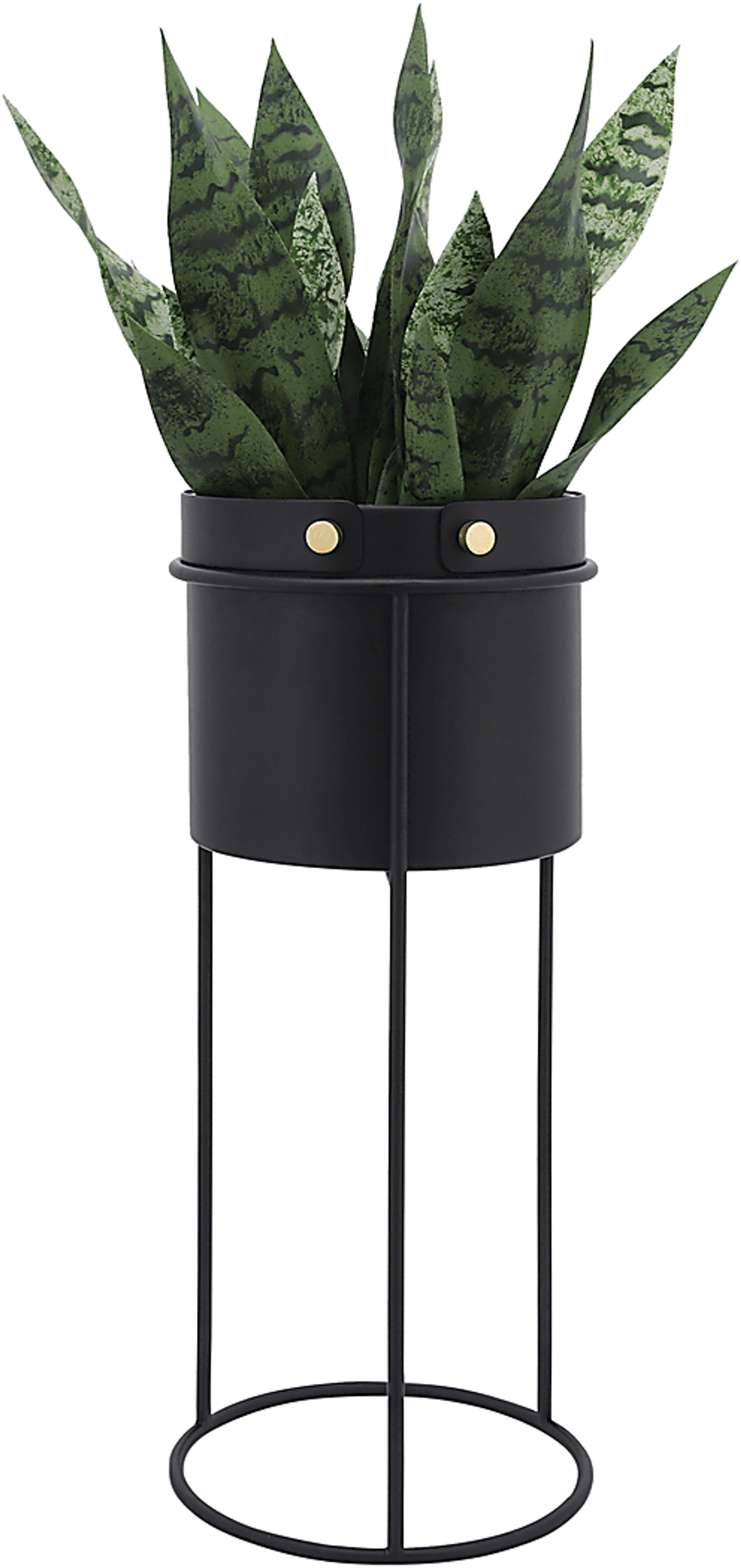 Hearnne Black Planter, Set of 2 - Image 3