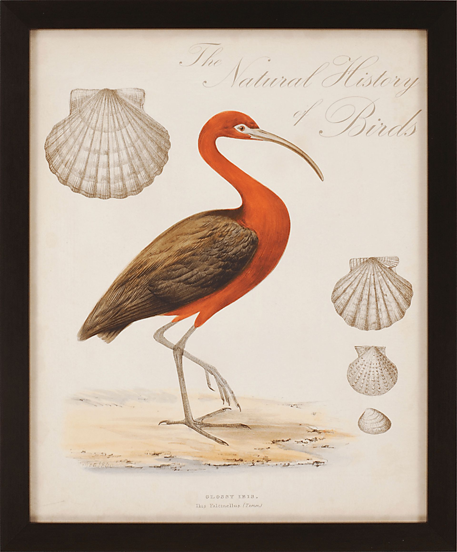 Heron Anthology II Artwork - Image 1