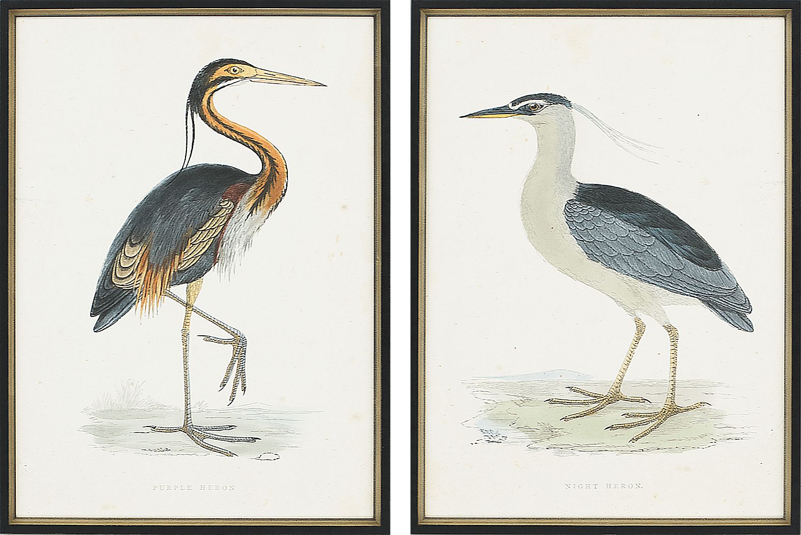 Hethwood Brown Artwork, Set of 2