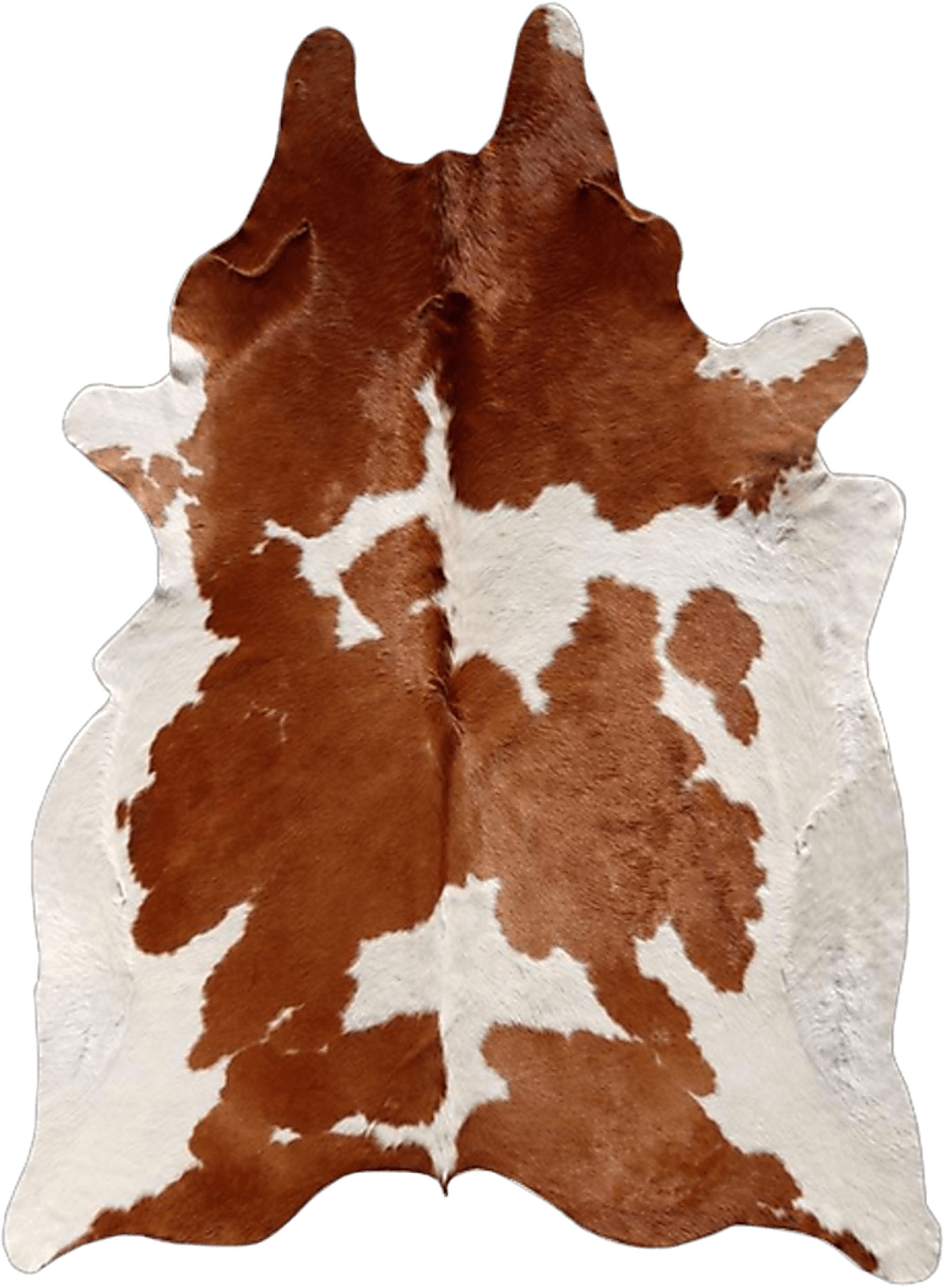 Heywood Ranch Brown 5'8 x 6' Rug - Image 1