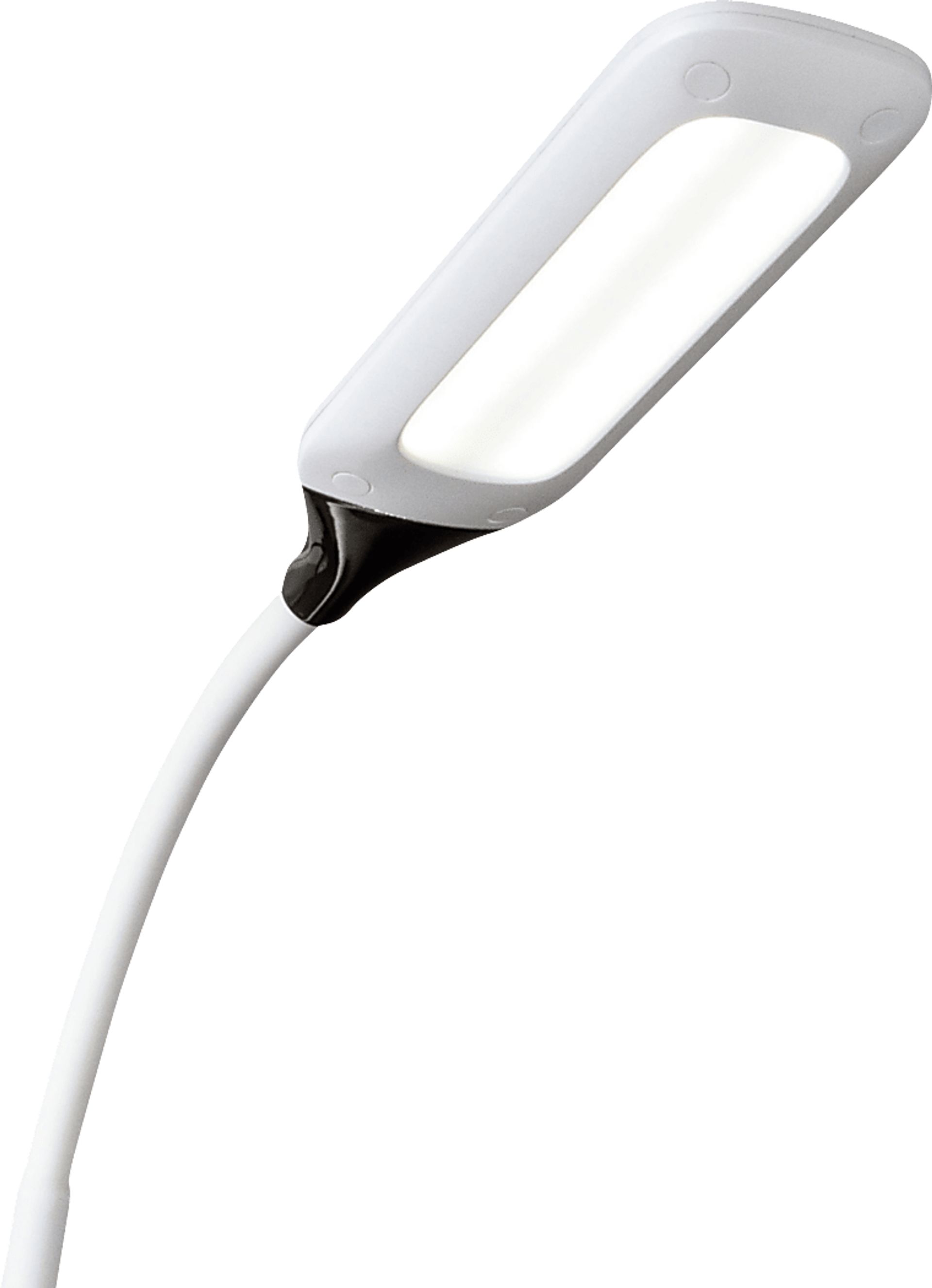 Holly Shores White Lamp - Image 4