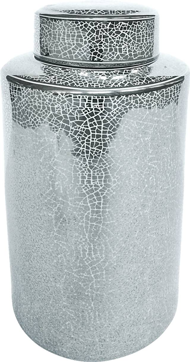 Holtzmann Silver Jar - Thumbnail - Image 1