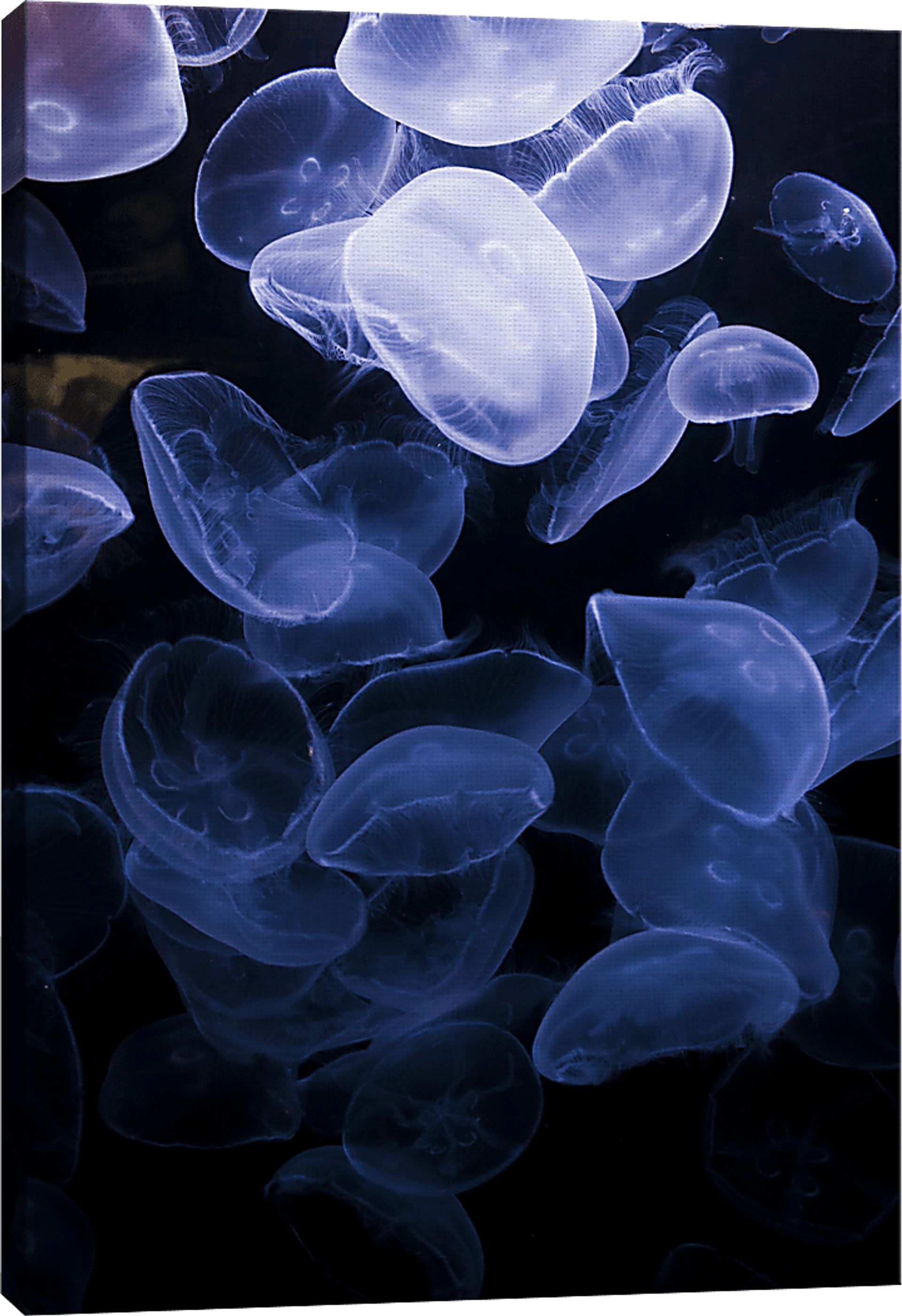 How To Flow Multi Artwork - Image 3