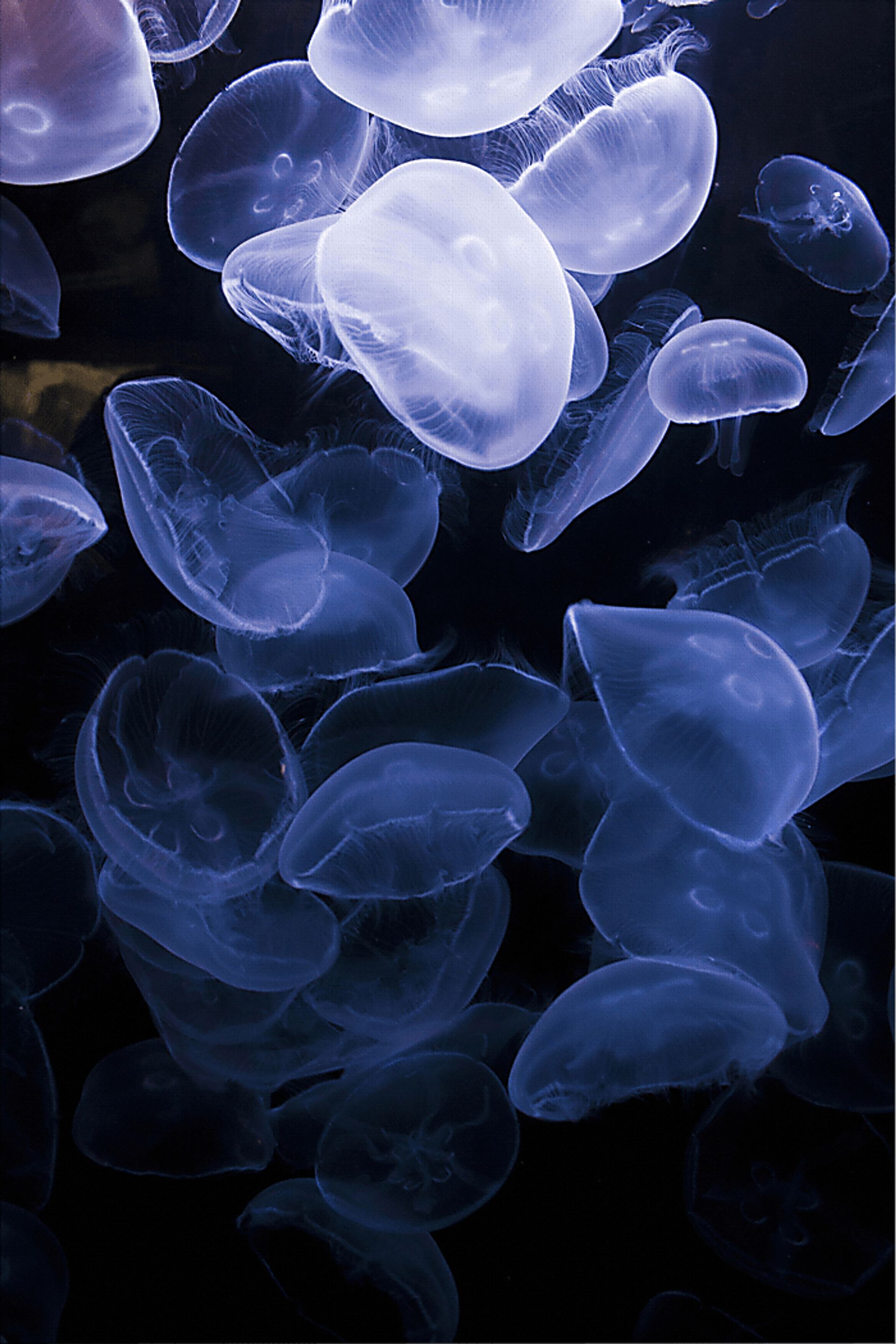 How To Flow Multi Artwork - Image 1