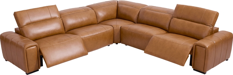 dual power sectional
