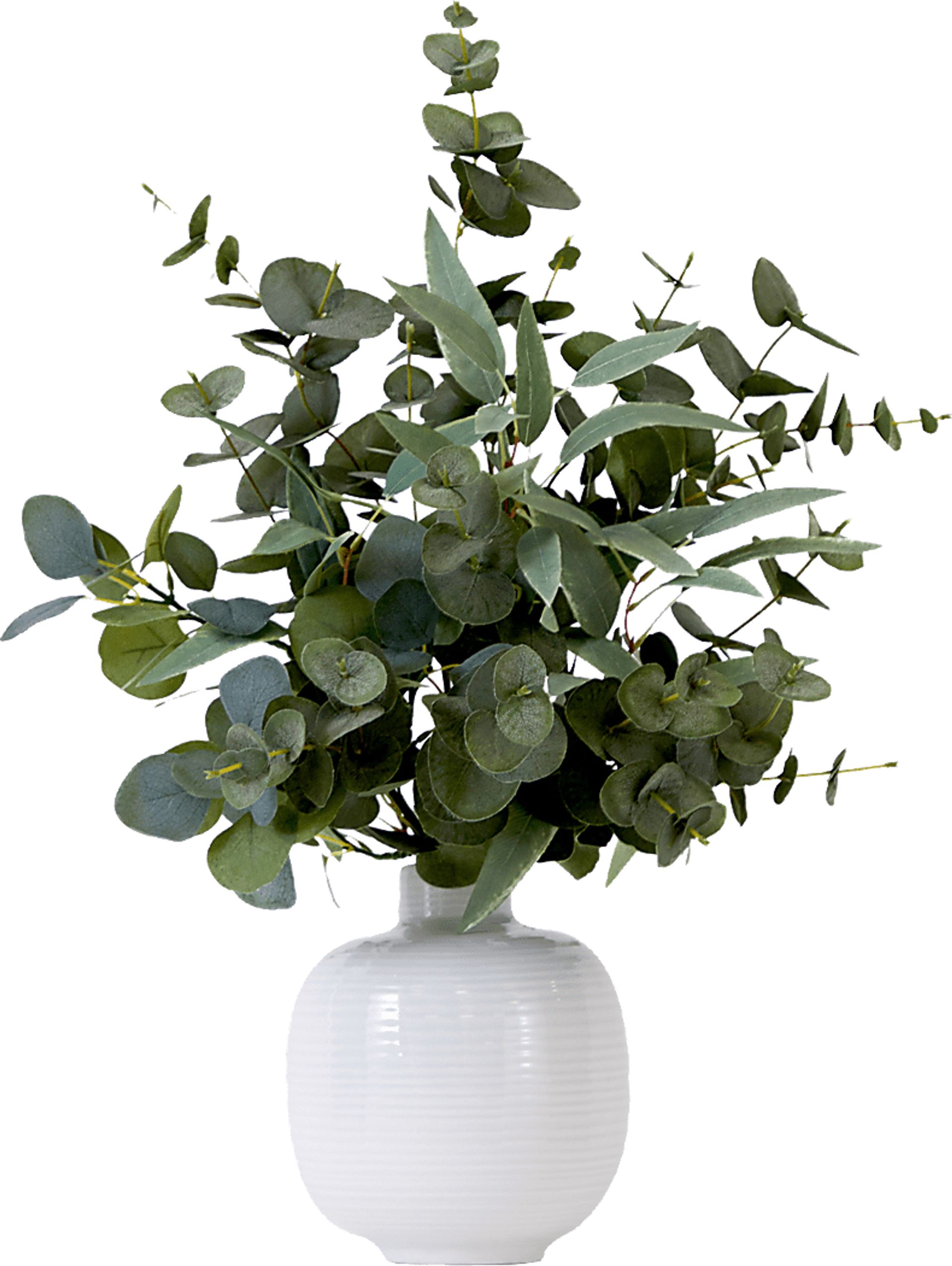 Hurlingame Green Plant with Ceramic Planter - Image 1