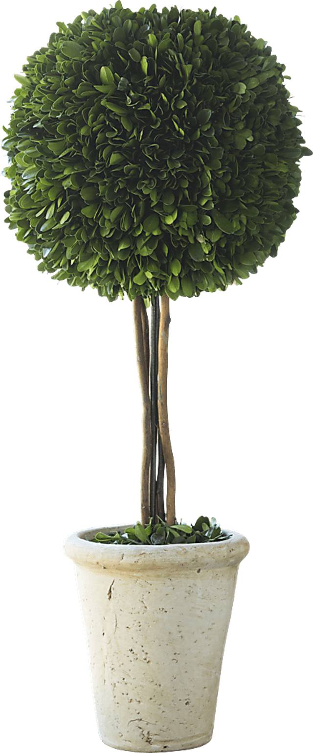 Hyacinth Green Floor Vase - Thumbnail - Image 1