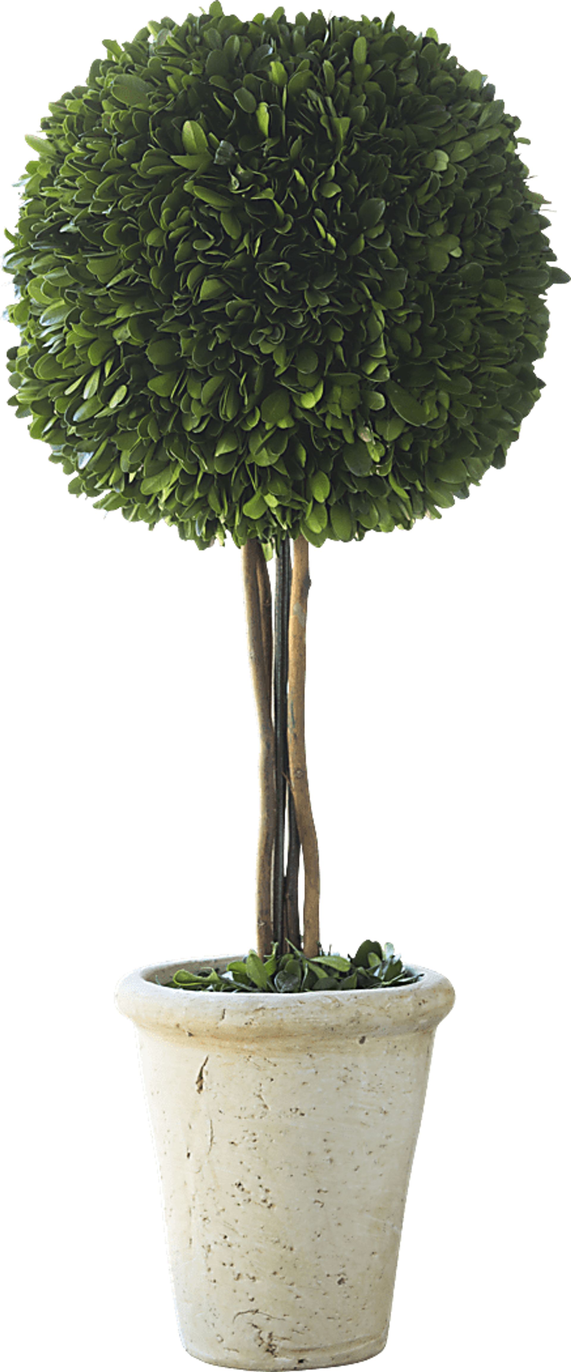 Hyacinth Green Floor Vase - Image 1