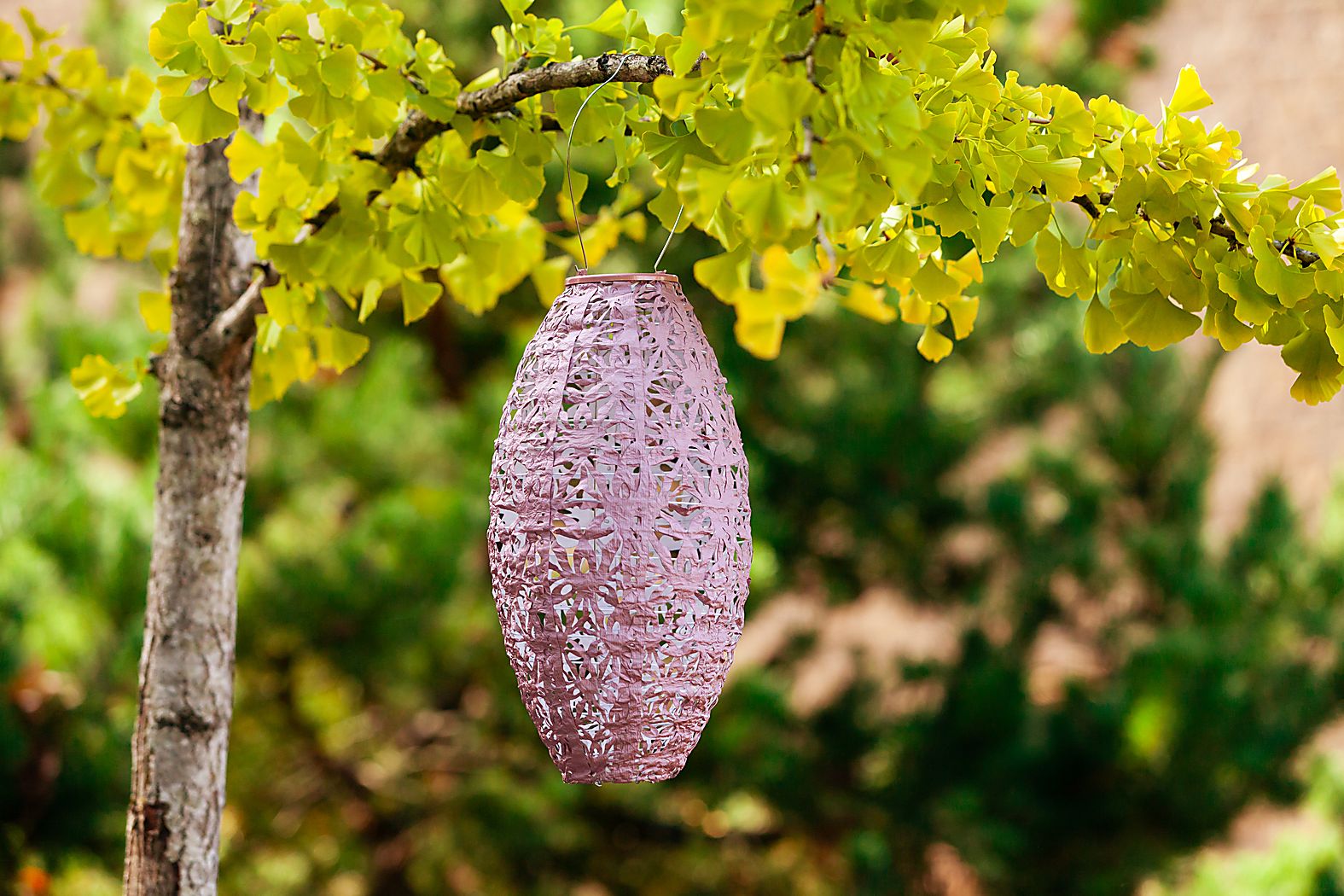 Hymin Estates Outdoor Solar Lantern - Thumbnail 3