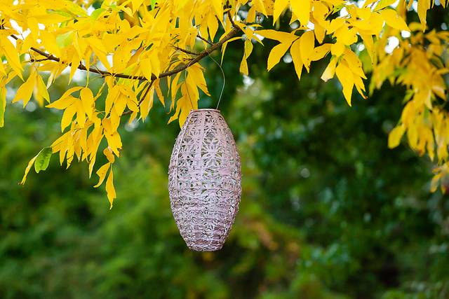 Hymin Estates Outdoor Pink Solar Lantern - Thumbnail - Image 3