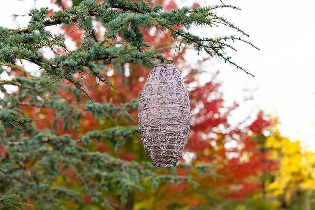 Hymin Estates Outdoor Pink Solar Lantern - Thumbnail - Image 4
