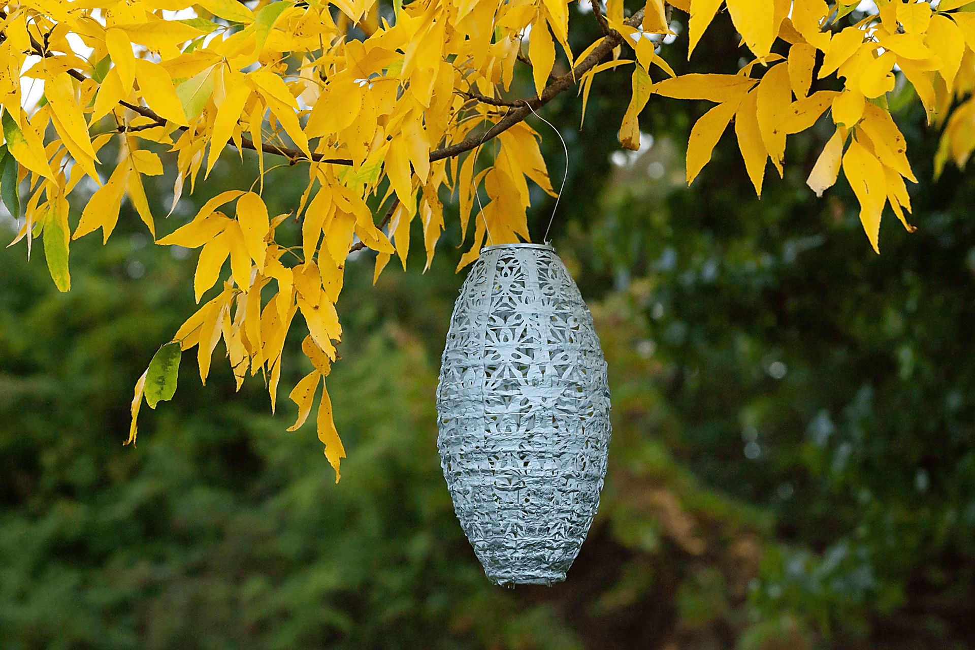 Hymin Estates Outdoor Sage Solar Lantern - Image 2