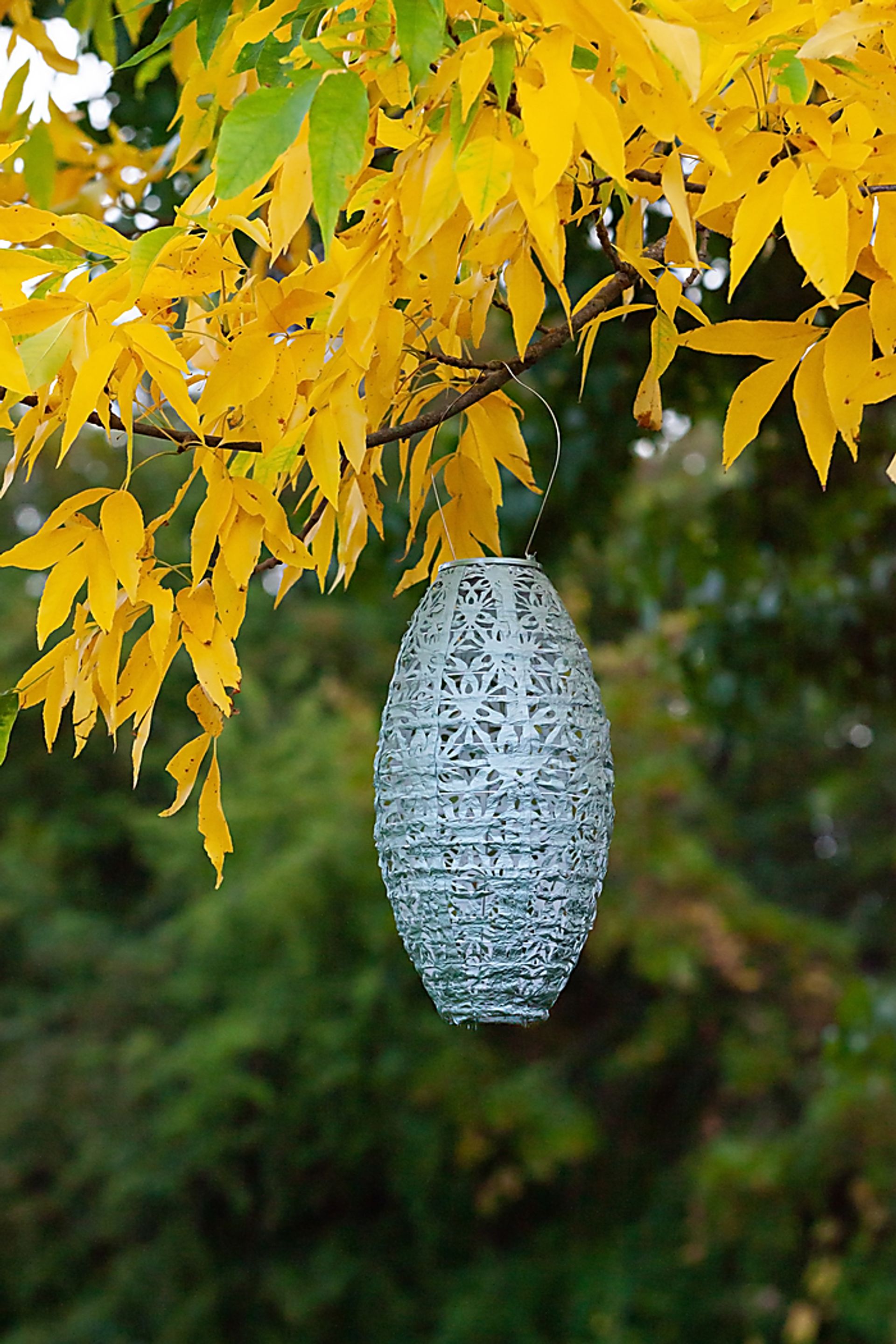 Hymin Estates Outdoor Sage Solar Lantern - Image 3