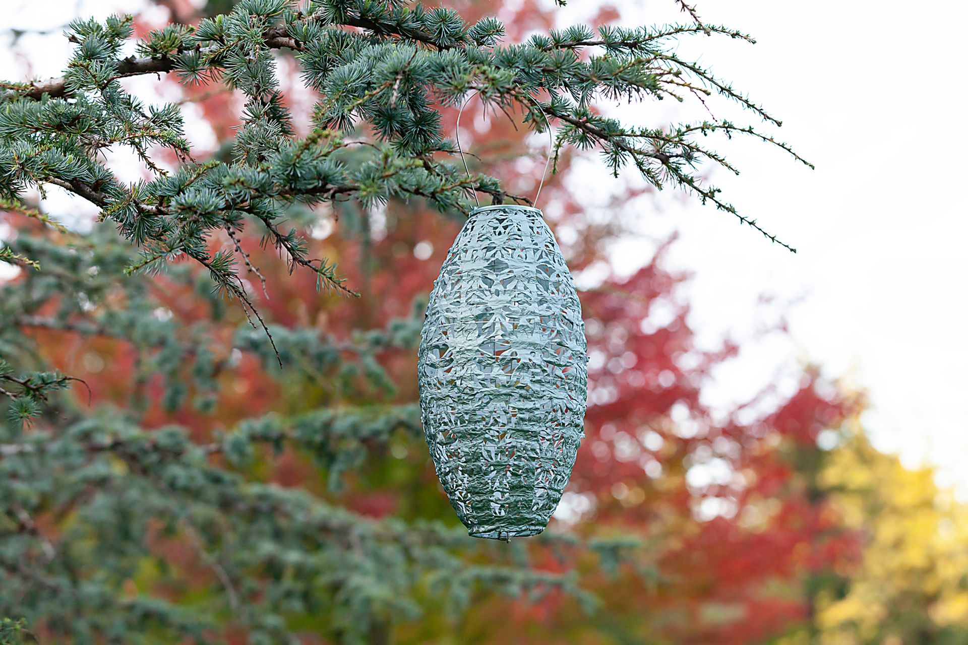 Hymin Estates Outdoor Sage Solar Lantern - Image 4