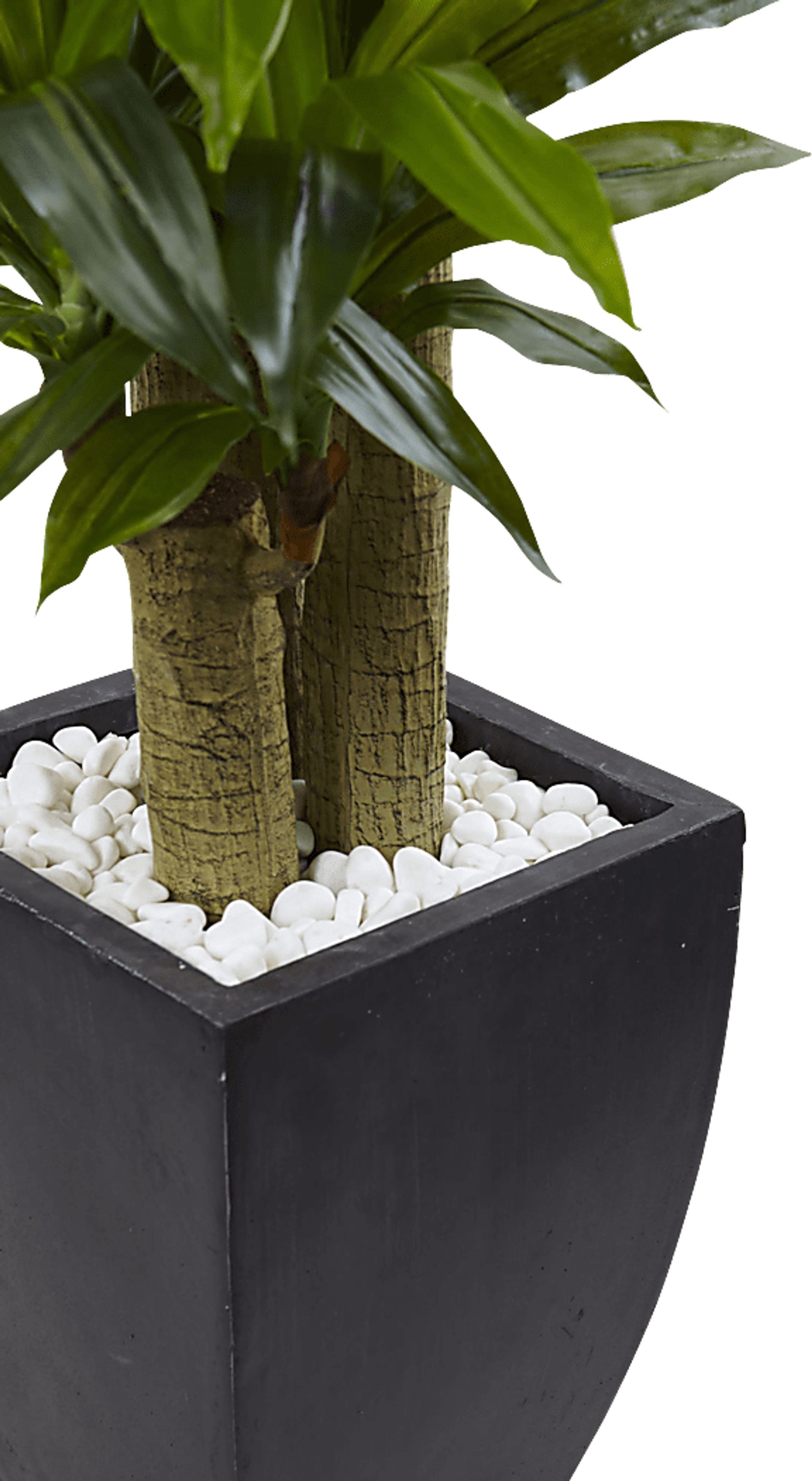 Ilani Green Dracaena Silk Tree - Image 2