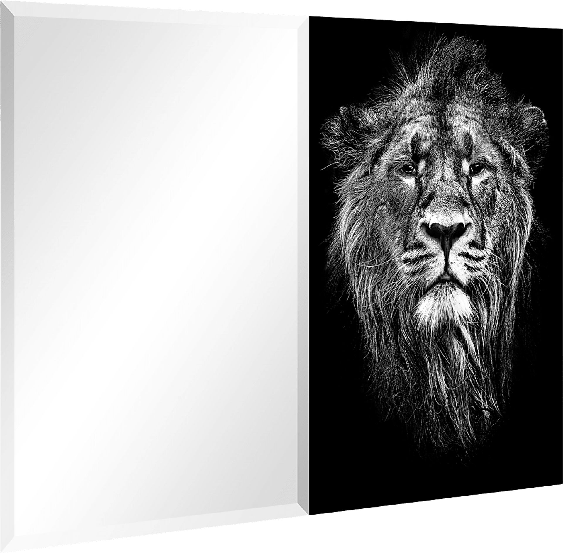 Inner Bravery Black Mirror - Image 2