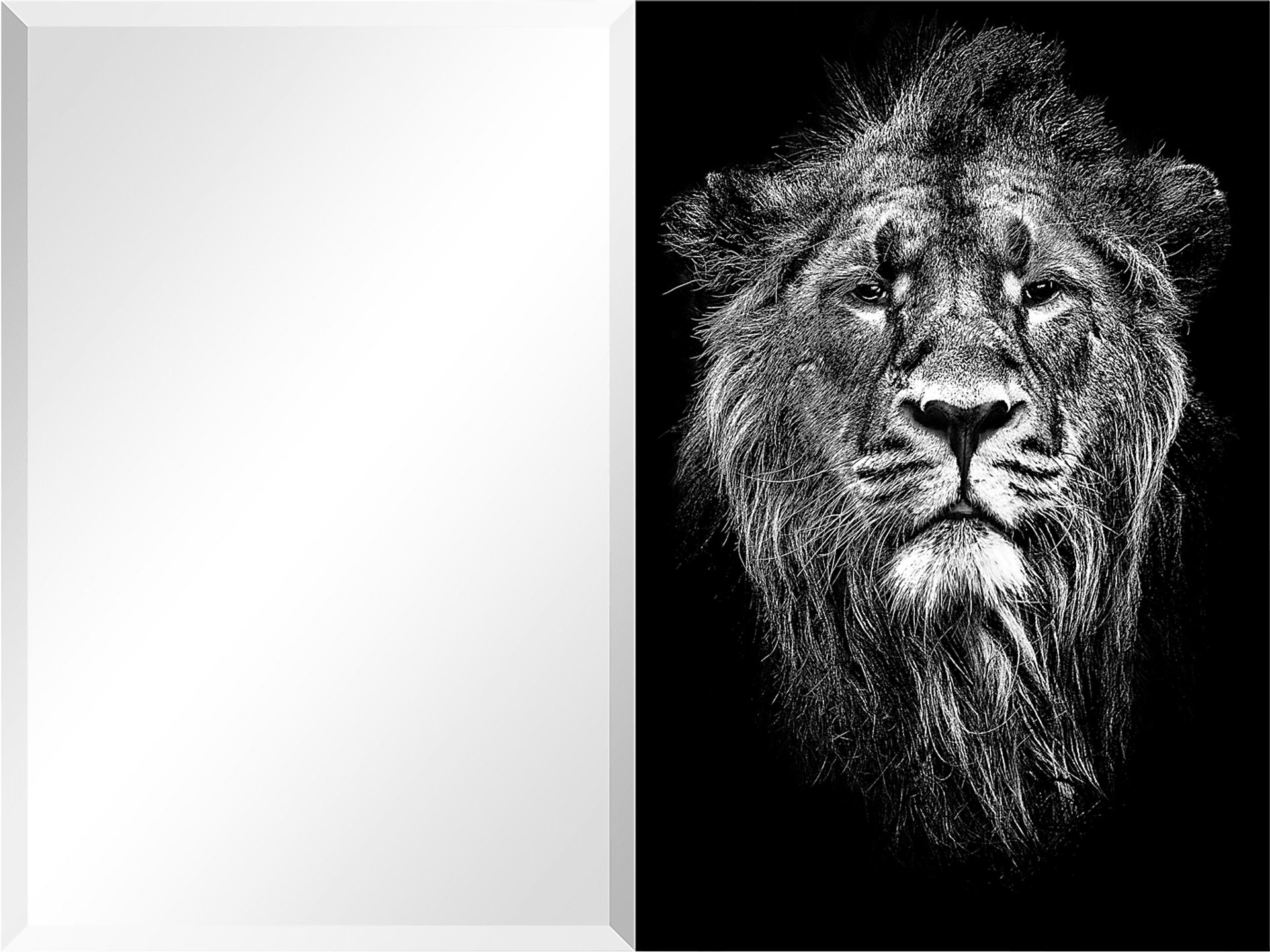 Inner Bravery Black Mirror - Image 1